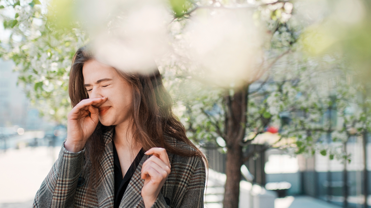 hayfever-and-allergy-main