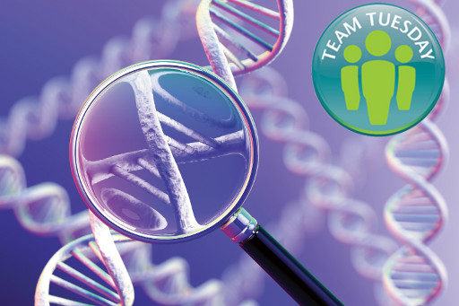 Diagnostics team tuesday.jpg